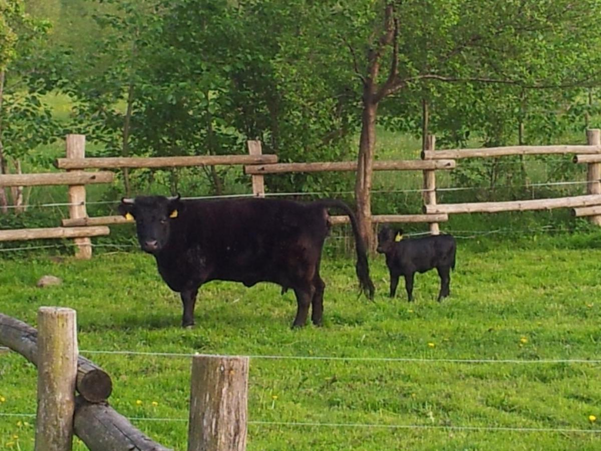 Doppelzimmer Im Spreewald Burg  Exteriör bild